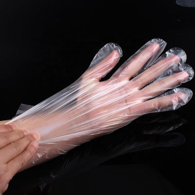 Free Size Polythene Transparent Disposable PE Gloves Plastic Gloves 100 Pack