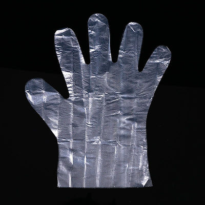 Plastic Disposable PE Gloves Clear Color Plastic Polythene Disposable Glove